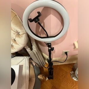 Light with phone holder